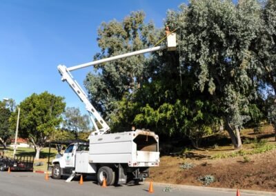 A man removing unwanted branches